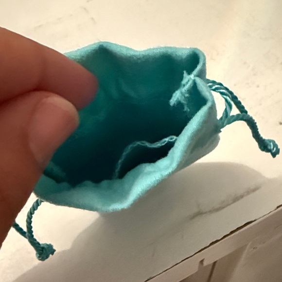 Tiffany & Co. Turquoise Jewelry Pouch only - Picture 4 of 4